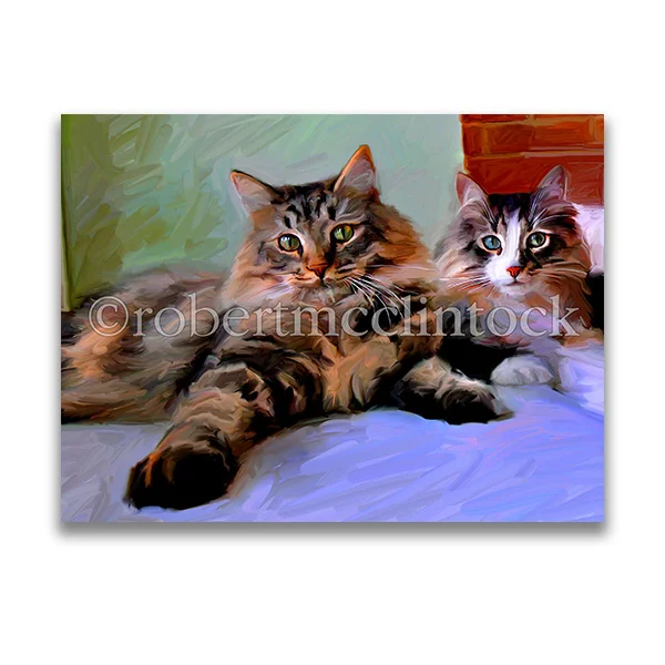"FLUFF DADDIES" - COOL CATS
