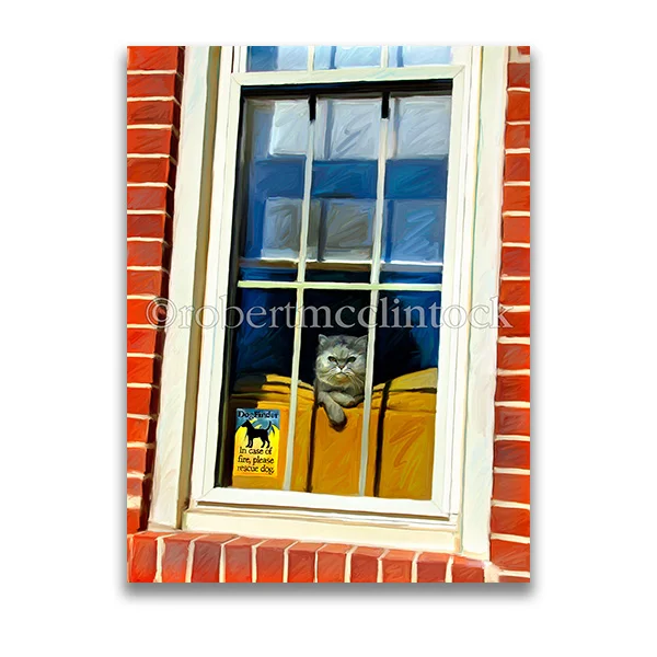 "IN CASE OF FIRE" - COOL CATS