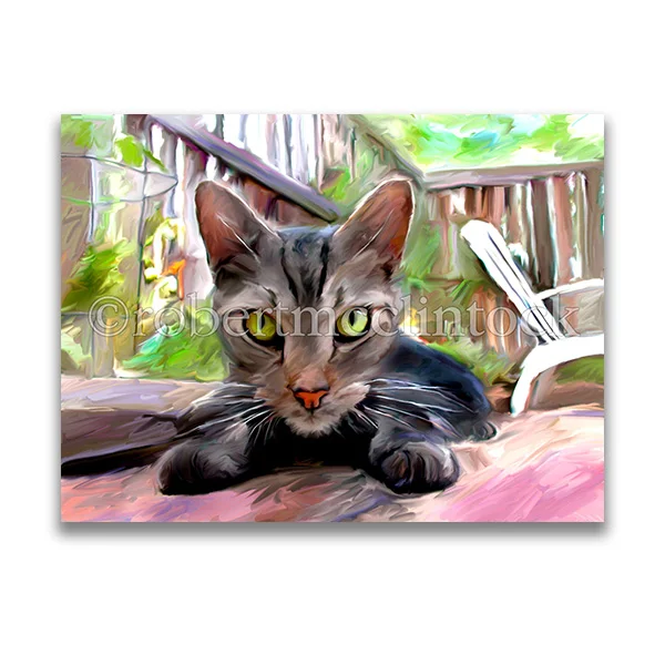 "IN YOUR FACE" - COOL CATS