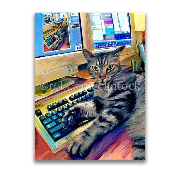 "CAT ON KEYBOARD" - COOL CATS