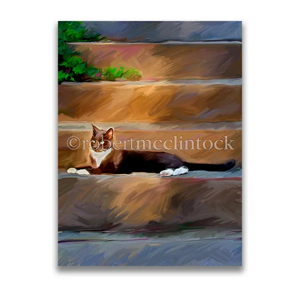 "TROUBLE CAT" - COOL CATS