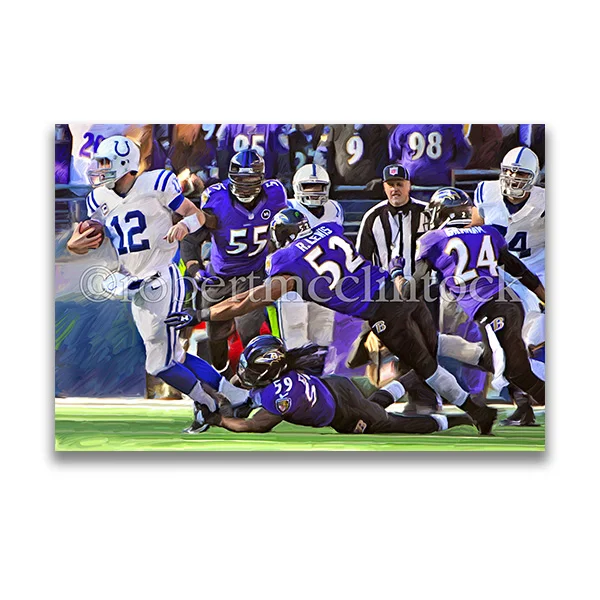 "UNDER WRAPS" - BALTIMORE RAVENS