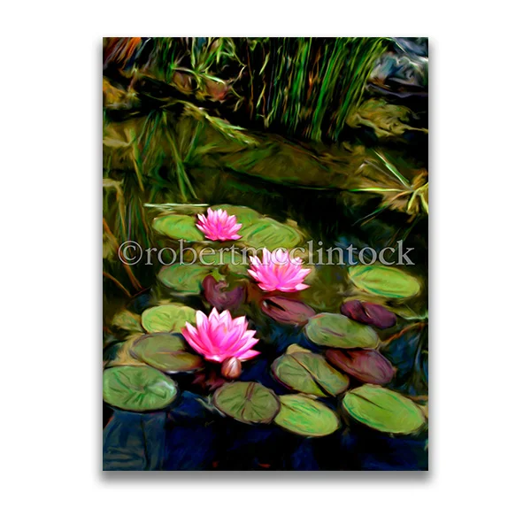 "LILIES #33" - WASHINGTON, DC