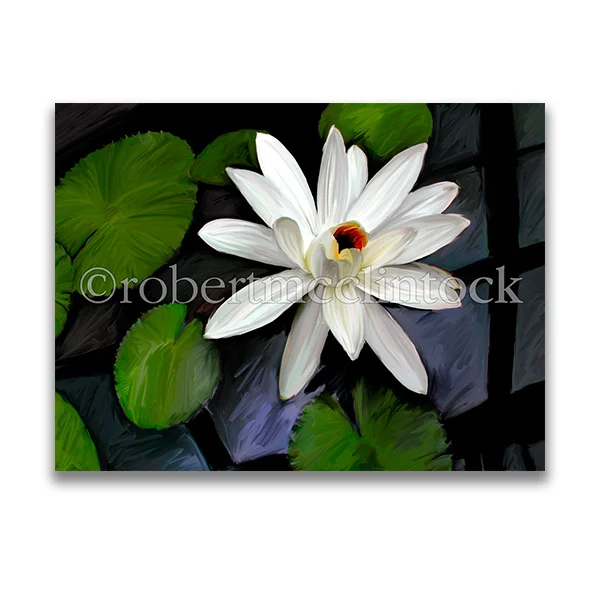 "LILIES #60" - WASHINGTON, DC