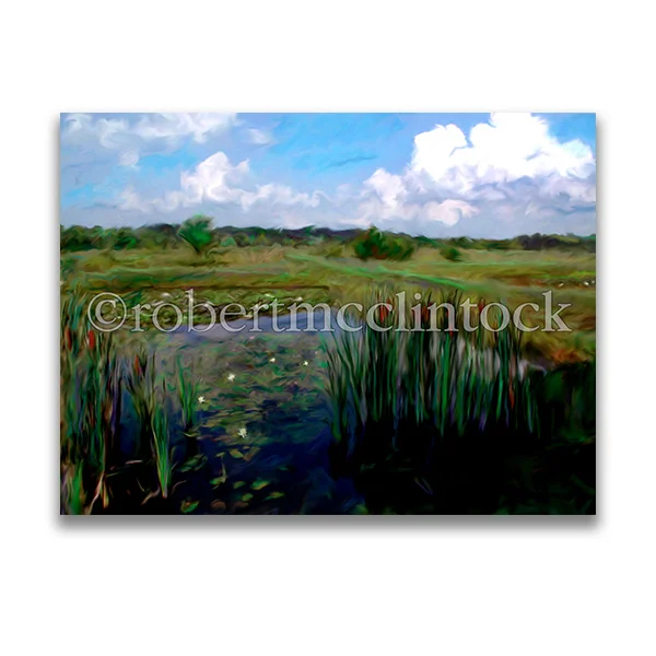 "LILIES #84" - WASHINGTON, DC