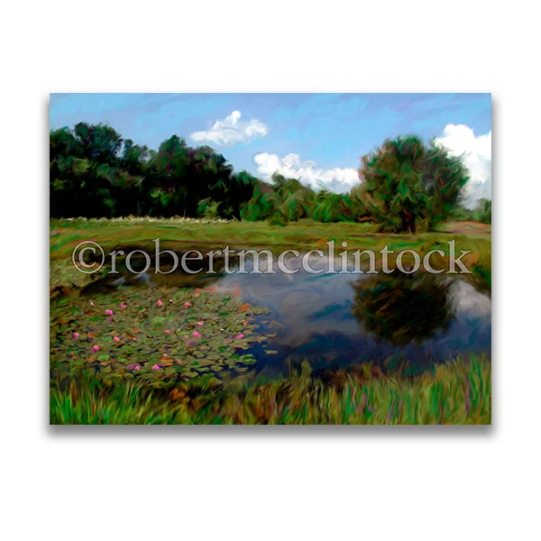 "LILYPONS #13" - WASHINGTON, DC