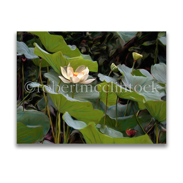 "LOTUS #5" - WASHINGTON, DC