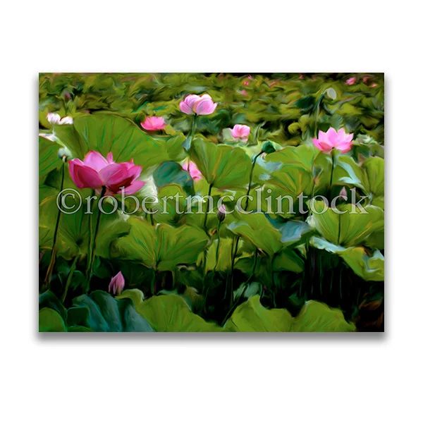 "LOTUS #11" - WASHINGTON, DC