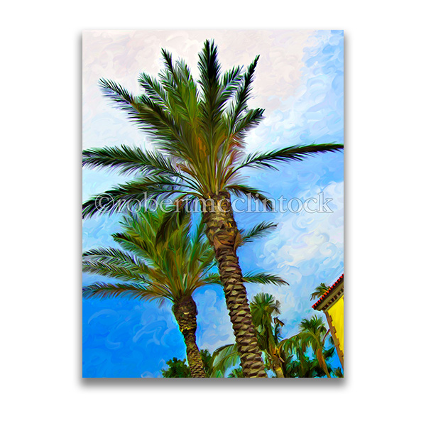 "TWO PALMS CROP" - SOUTH BEACH