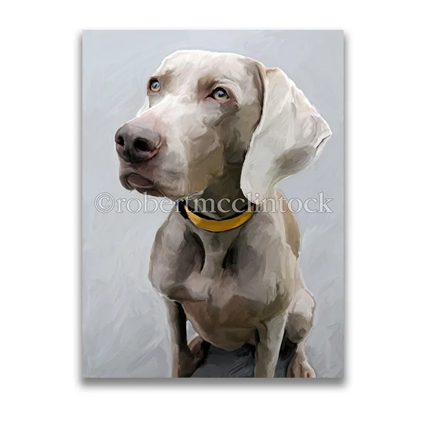 "KODI #1" - WEIMARANER