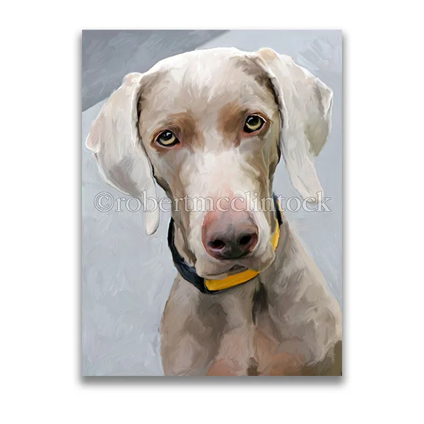 "KODI #3" - WEIMARANER