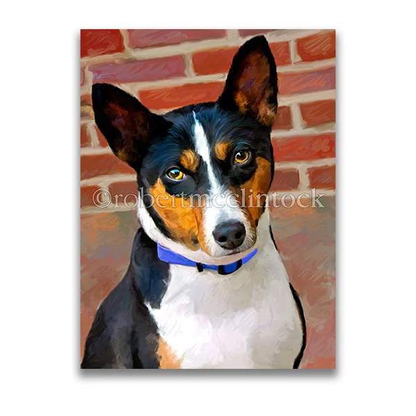 "BILLY" - BASENJI