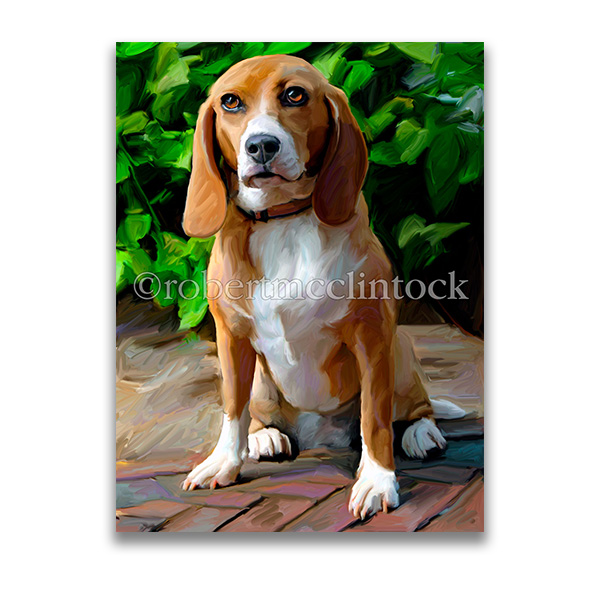 "SOFT TOUCH" - BEAGLE