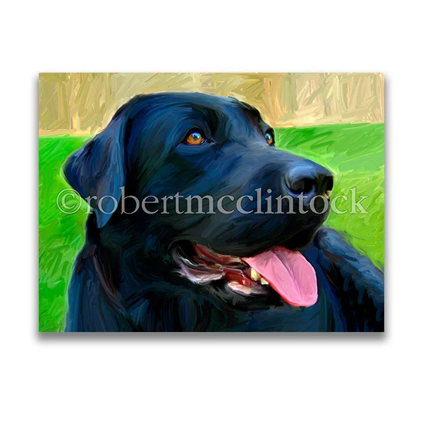 "HANDSOME LAB" - BLACK LAB