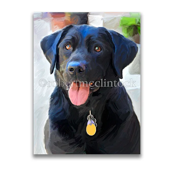 "THE EYES WILL ADVISE" - BLACK LAB