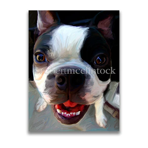 "FACED" - BOSTON TERRIER