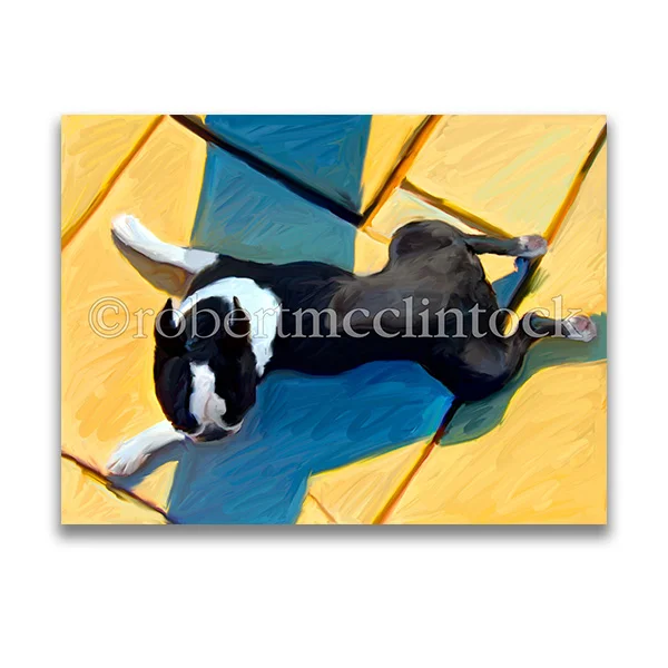 "FROG LEGS" - BOSTON TERRIER