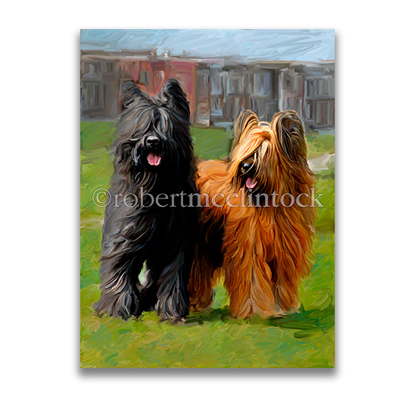 "BRIARDS" - BRIARD