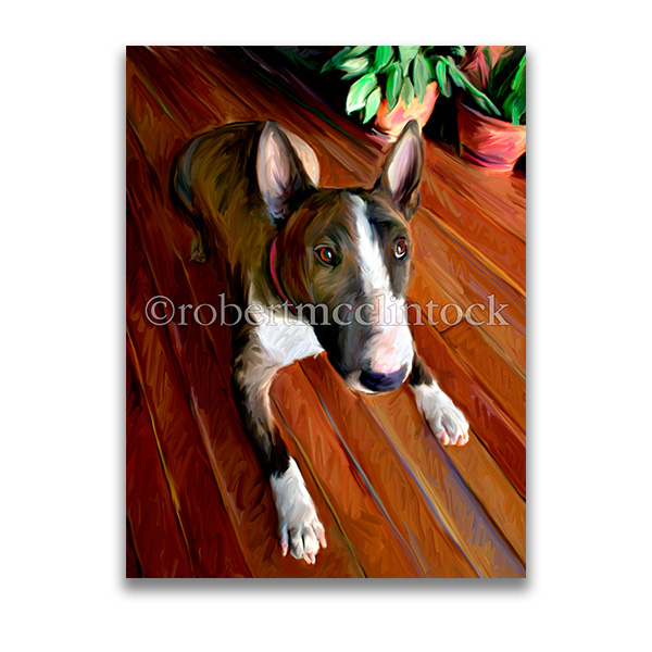 "DON'T GET ME STARTED" - BULL TERRIER