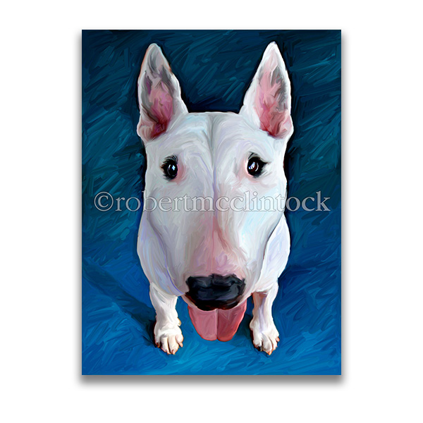 "BRONSON" - BULL TERRIER