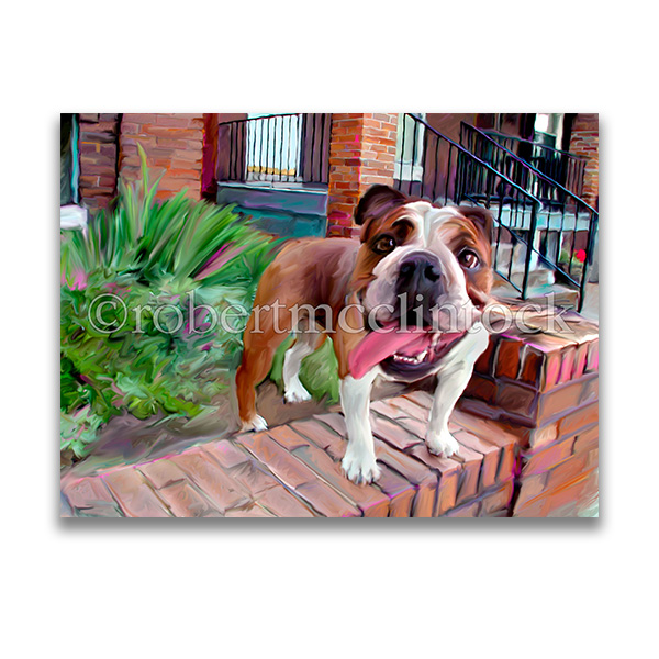 "BULL ON THE WALL" - BULLDOG