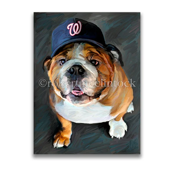 "NATIONALS BASEBULL" - BULLDOG