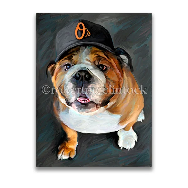 "ORIOLES BASEBULL" - BULLDOG