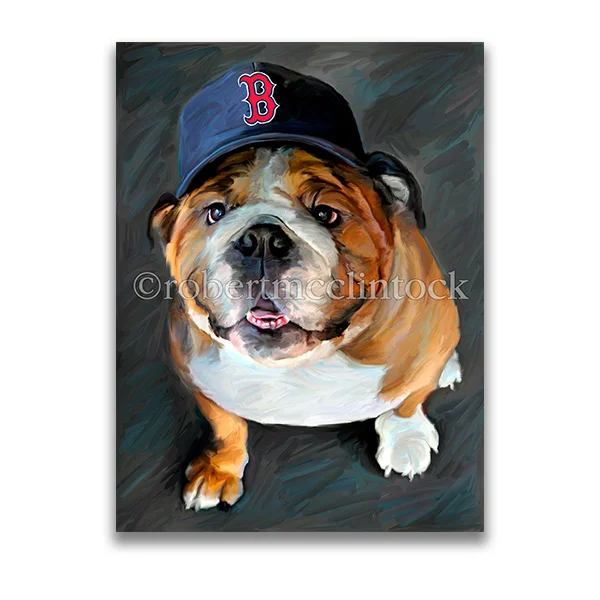 "RED SOX BASEBULL" - BULLDOG