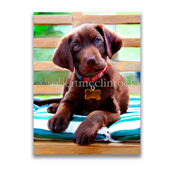 "ECHO" - CHOCOLATE LAB