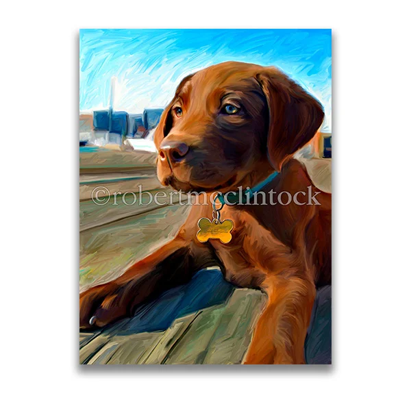 "GUS BROWN #1" - CHOCOLATE LAB