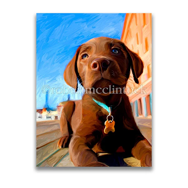 "GUS BROWN #2" - CHOCOLATE LAB