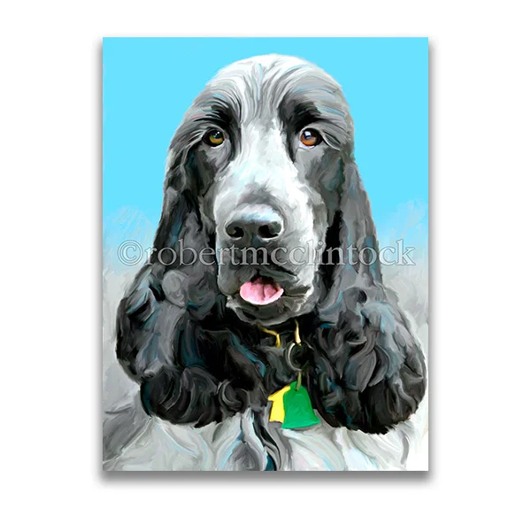 "FREDDY" - ENGLISH COCKER SPANIEL