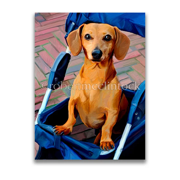 "DRIVE THROUGH" - DACHSHUND