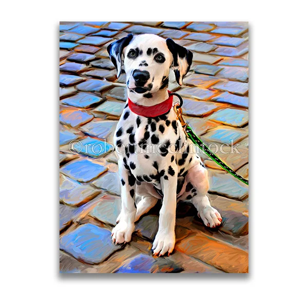 "ON THE SPOT" - DALMATION