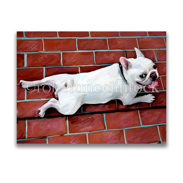 "COSTANZA" - FRENCH BULLDOG