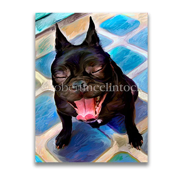 "GUS DONATO #3" - FRENCH BULLDOG