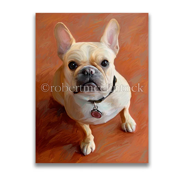 "SOPHIE" - FRENCH BULLDOG