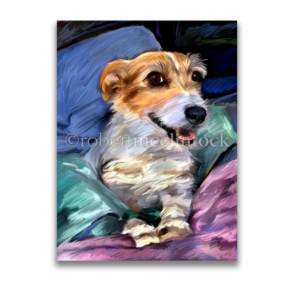 "SPIKE" - JACK RUSSELL