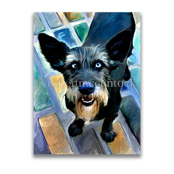 "WIZARD OF PAWS" - MUTTS