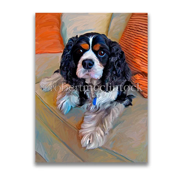 "CHARLES IN CHARGE" - CAVALIER KING CHARLES SPANIEL