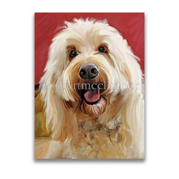 "LABRADOODLE #1" - LABRADOODLE