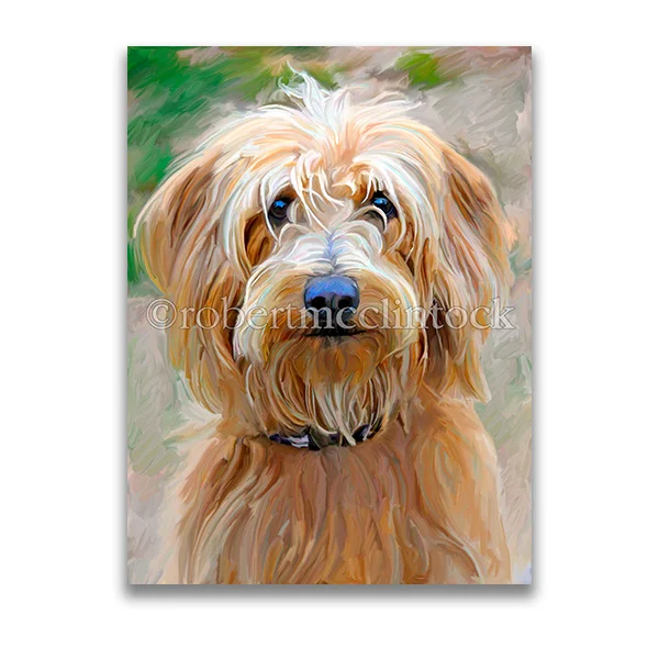 "LABRADOODLE #2" - LABRADOODLE