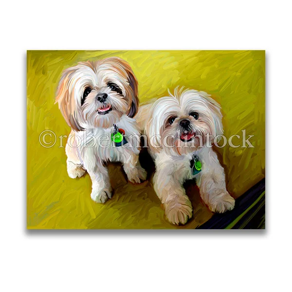 "LOTSA LHASA" - LHASA APSO