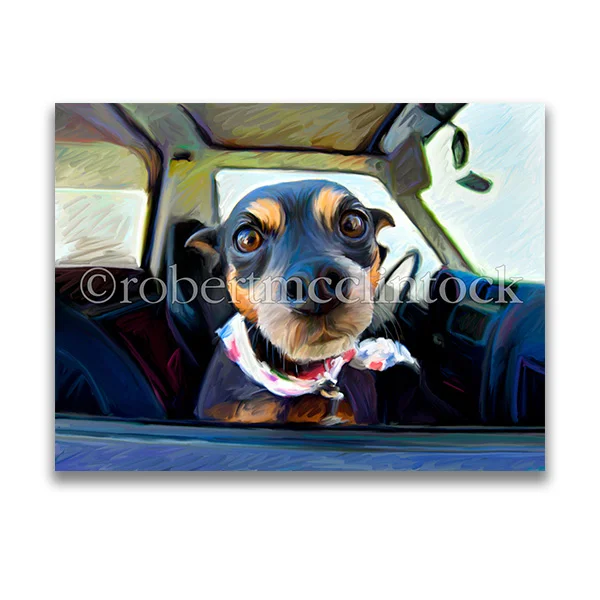 "LITTLE DOBIE" - MINIATURE PINSCHER