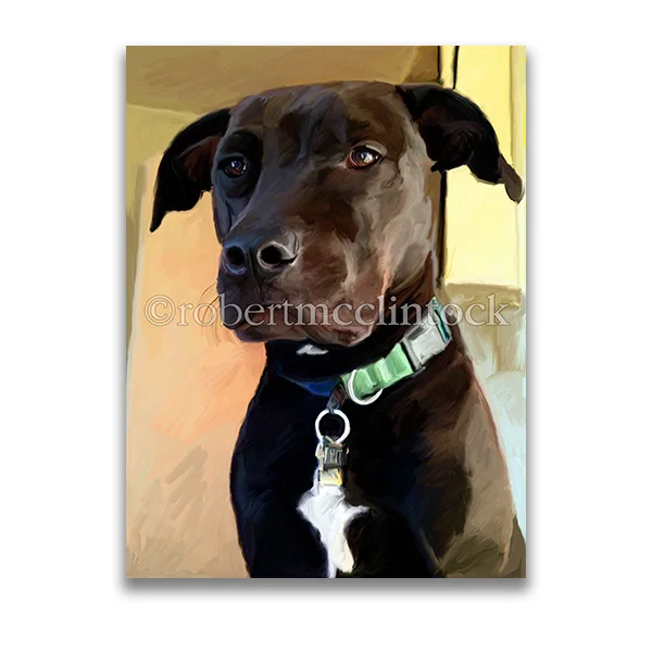 "BEAU ROYALE" - PIT BULL