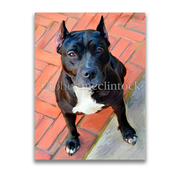 "BLUEBERRY" - PIT BULL