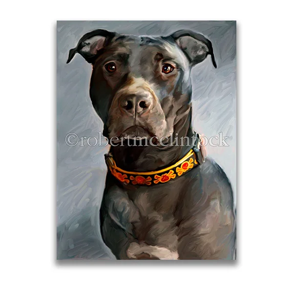 "BOGIE" - PIT BULL