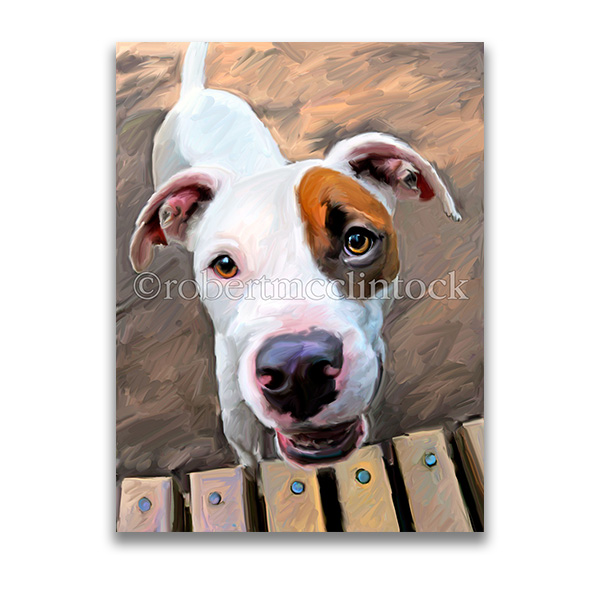 "BULL'S EYE" - PIT BULL