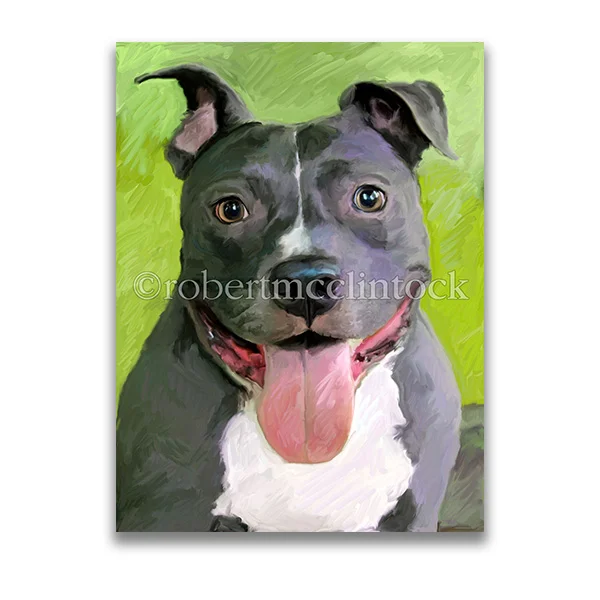 "CINDER" - PIT BULL