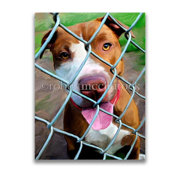 "FENCE" - PIT BULL
